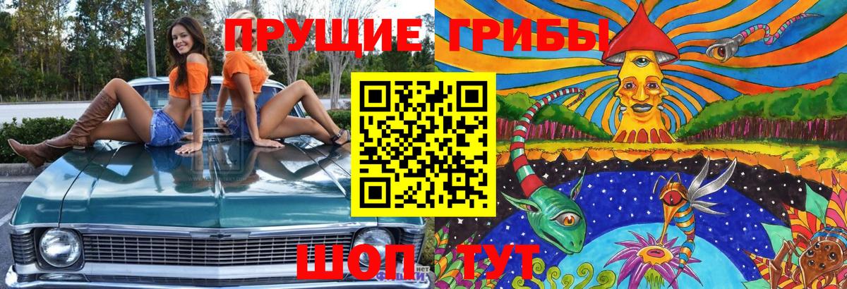 Галлюциногенные грибы Magic Shrooms  закладки  Гусев  Вход с VPN 