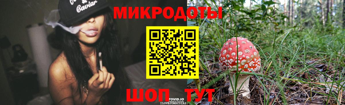 Псилоцибиновые грибы мицелий Гусев
